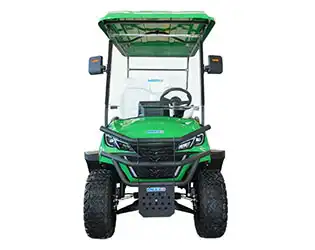 4 Seater Golf Cart Street Legal: Electric vs Gas Features Compared